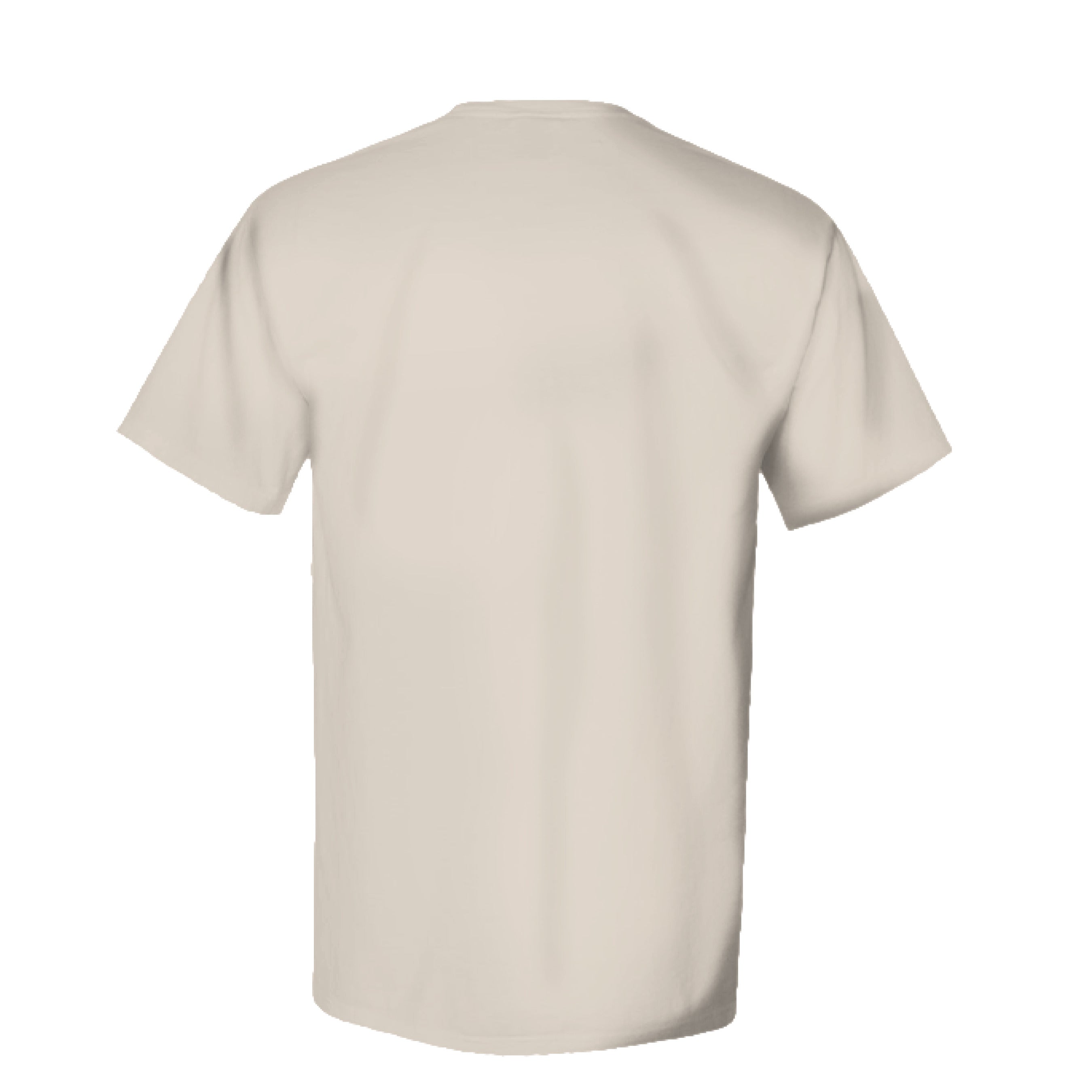 Parchment - BACK